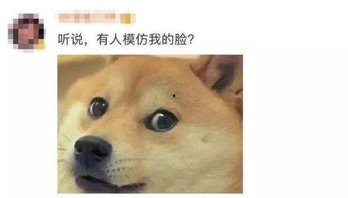 微信表情吃瓜表情是什么意思,网络社交中的趣味解读