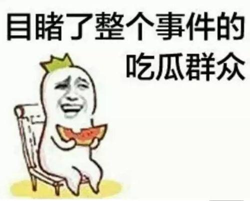 娱乐圈吃瓜沙雕动画,沙雕动画中的吃瓜盛宴，笑料百出！