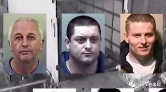 娱乐圈吃瓜群众小说推荐,瓜田里的明星秘闻